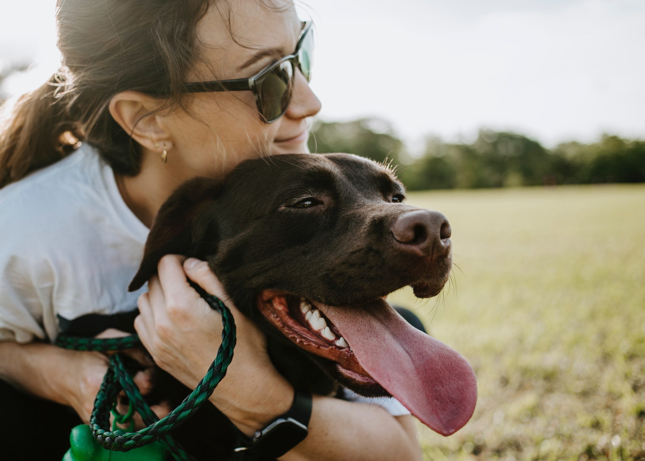 Non solo pet therapy, 5 modi con cui il cane contribuisce positivamente alla tua salute