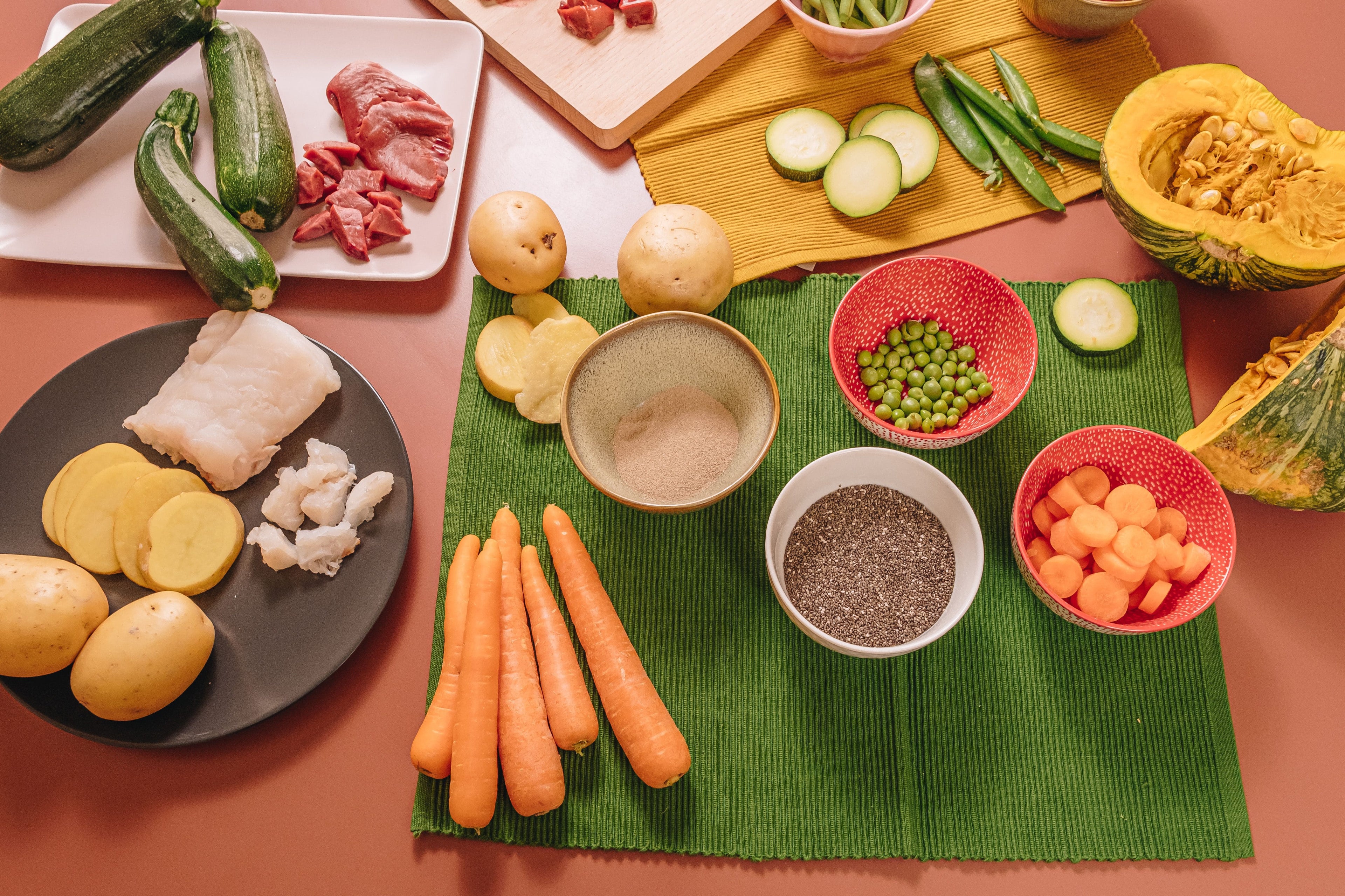 cibo-completo-cani
