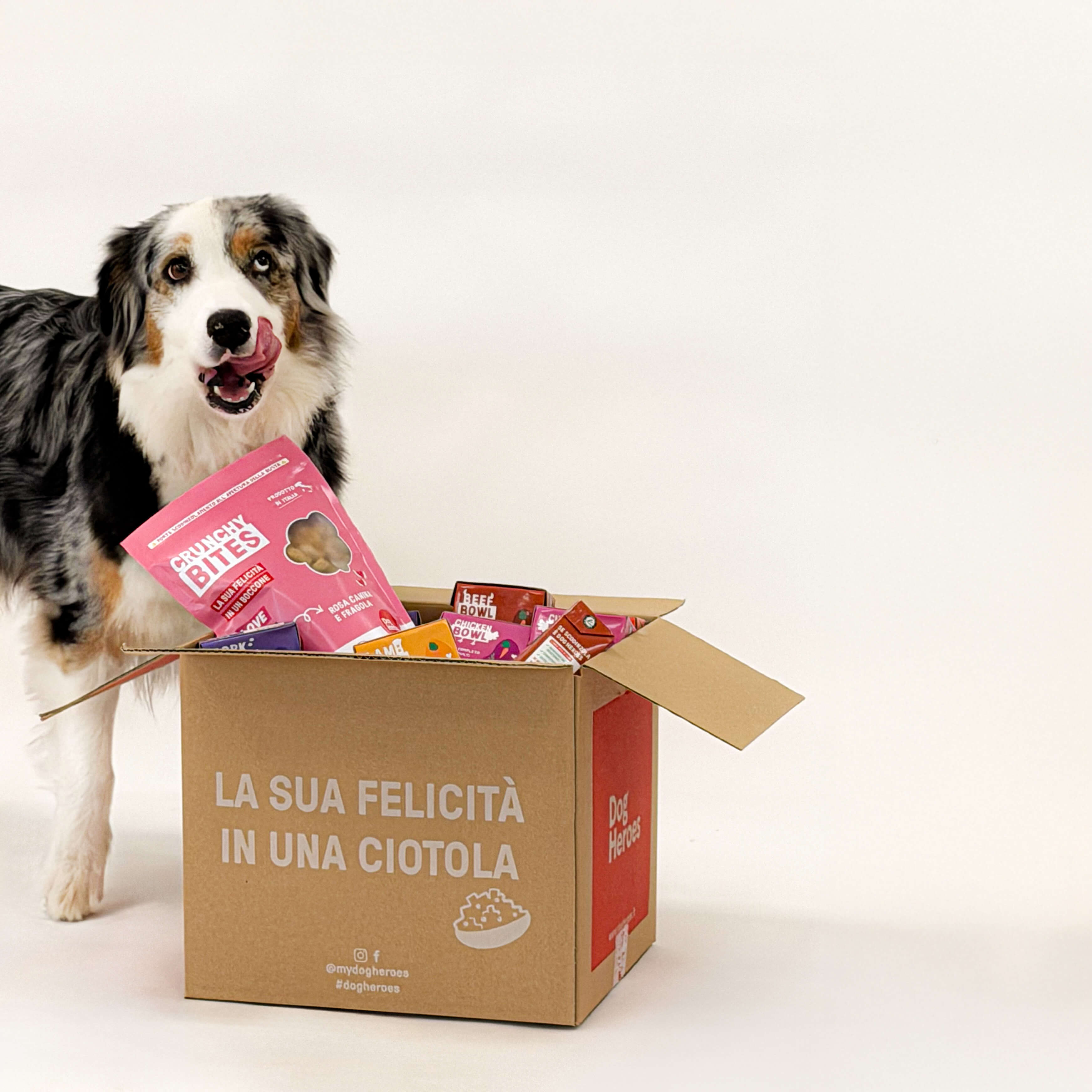 Crunchy Bites LOVE: i nuovi snack per cani per celebrare il vostro legame
