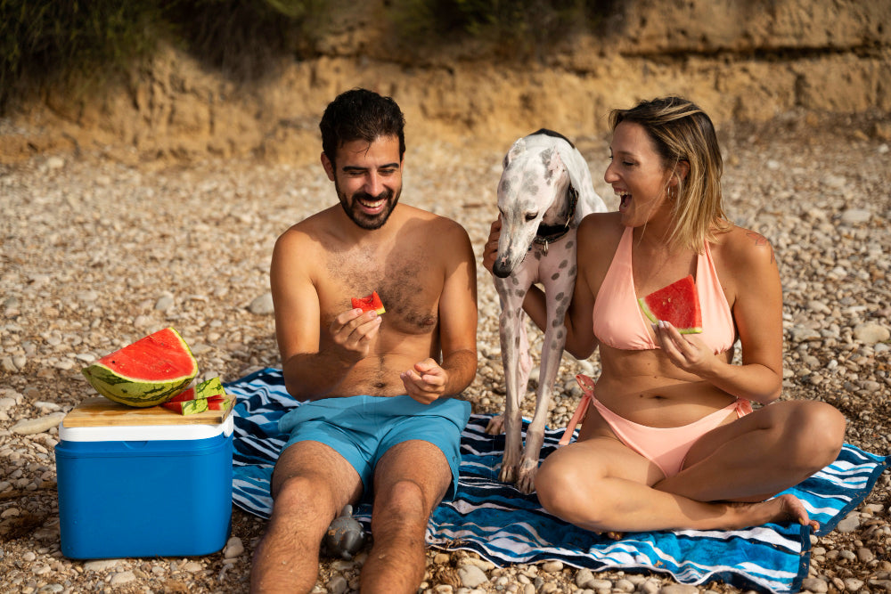 Ricette fresche fatte in casa per il cane in estate: cosa si può fare