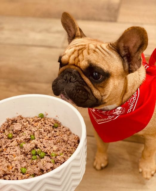 Cosa c'è nel cibo del tuo cane?