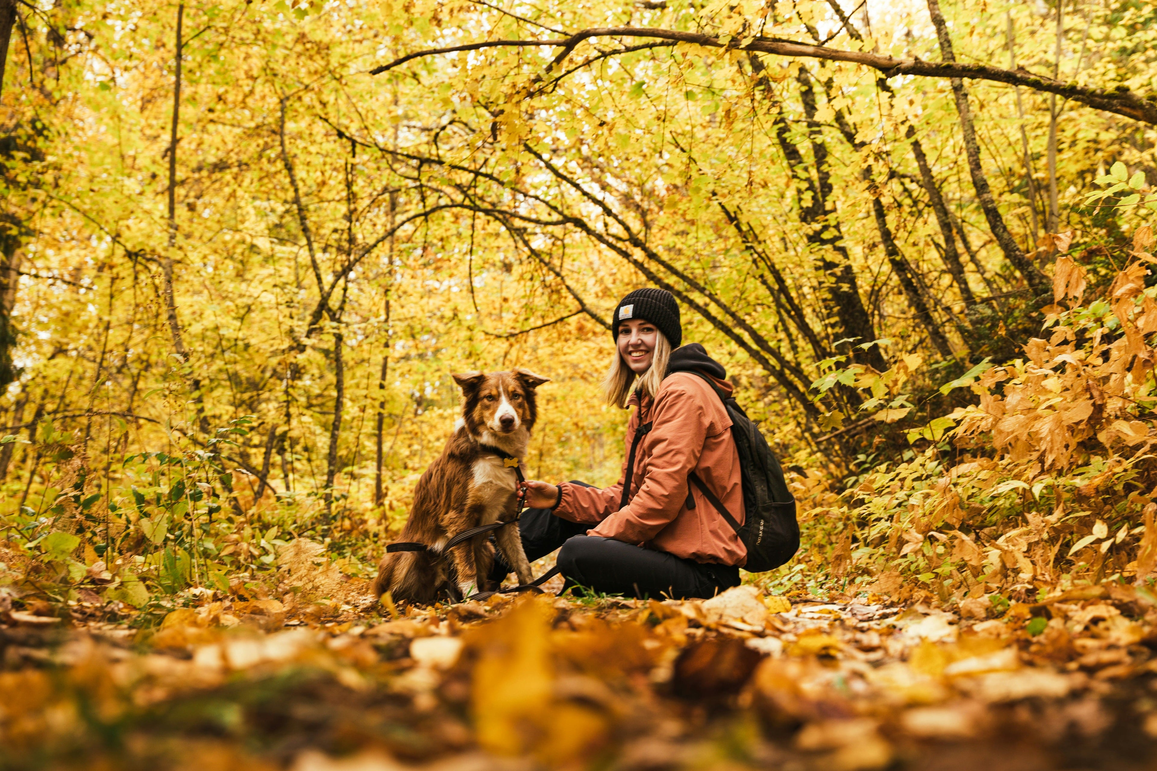 Il tuo cane mangia le ghiande? I rischi per la salute e i consigli pratici