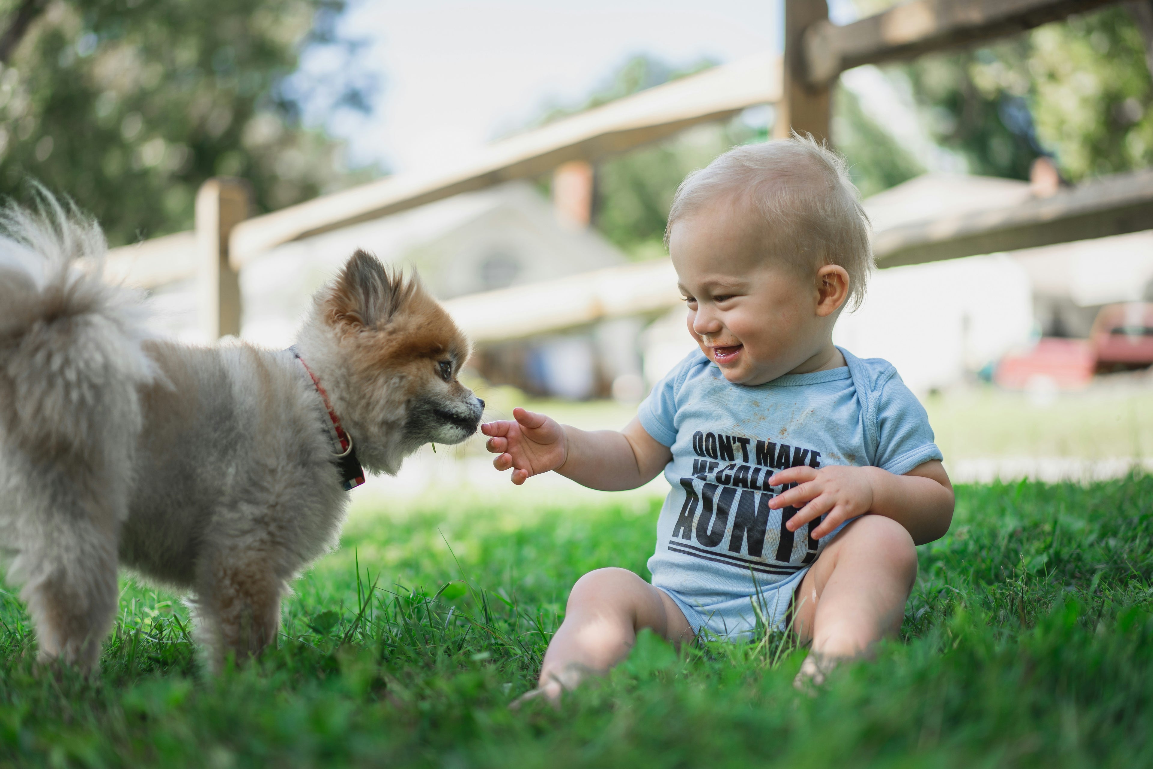incontro tra cane e neonato sorridente