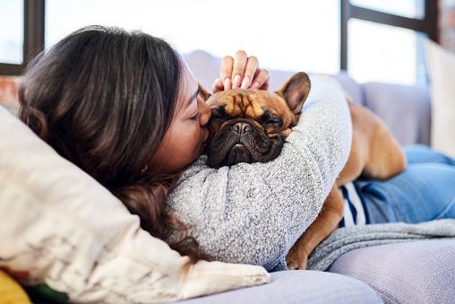 Il tuo cane soffre di ansia da separazione quando resta solo? Scopri come aiutarlo