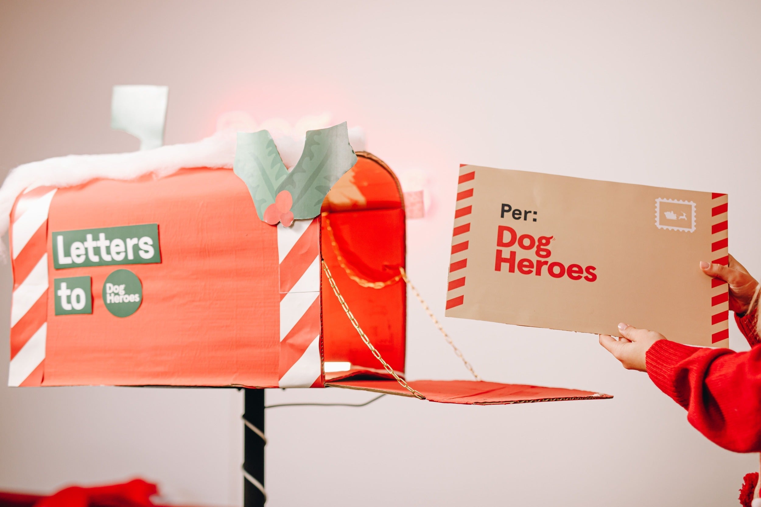 Cosa regalare a Fido per Natale?
