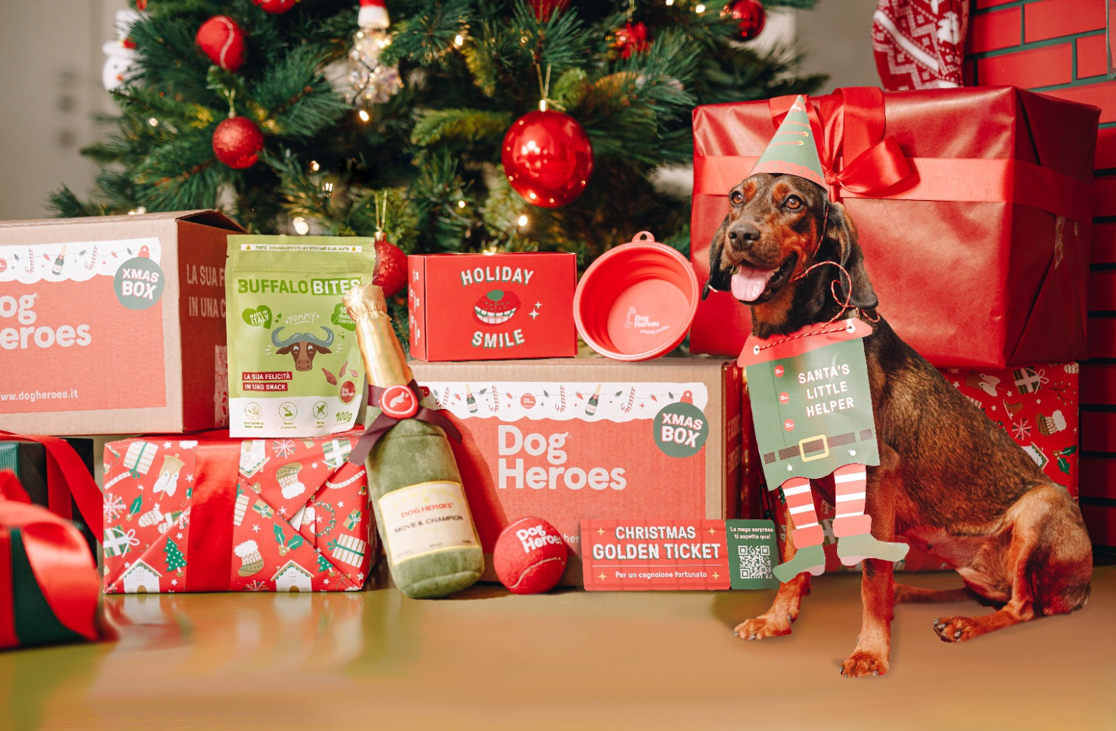 Cosa regalare al mio cane per Natale?