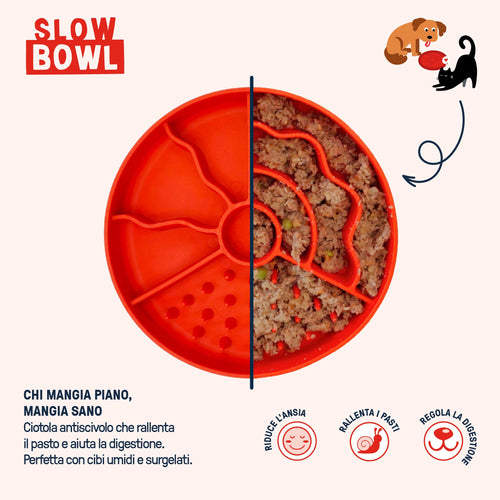 Slow Bowl | Ciotola anti ingozzamento con bordi alti