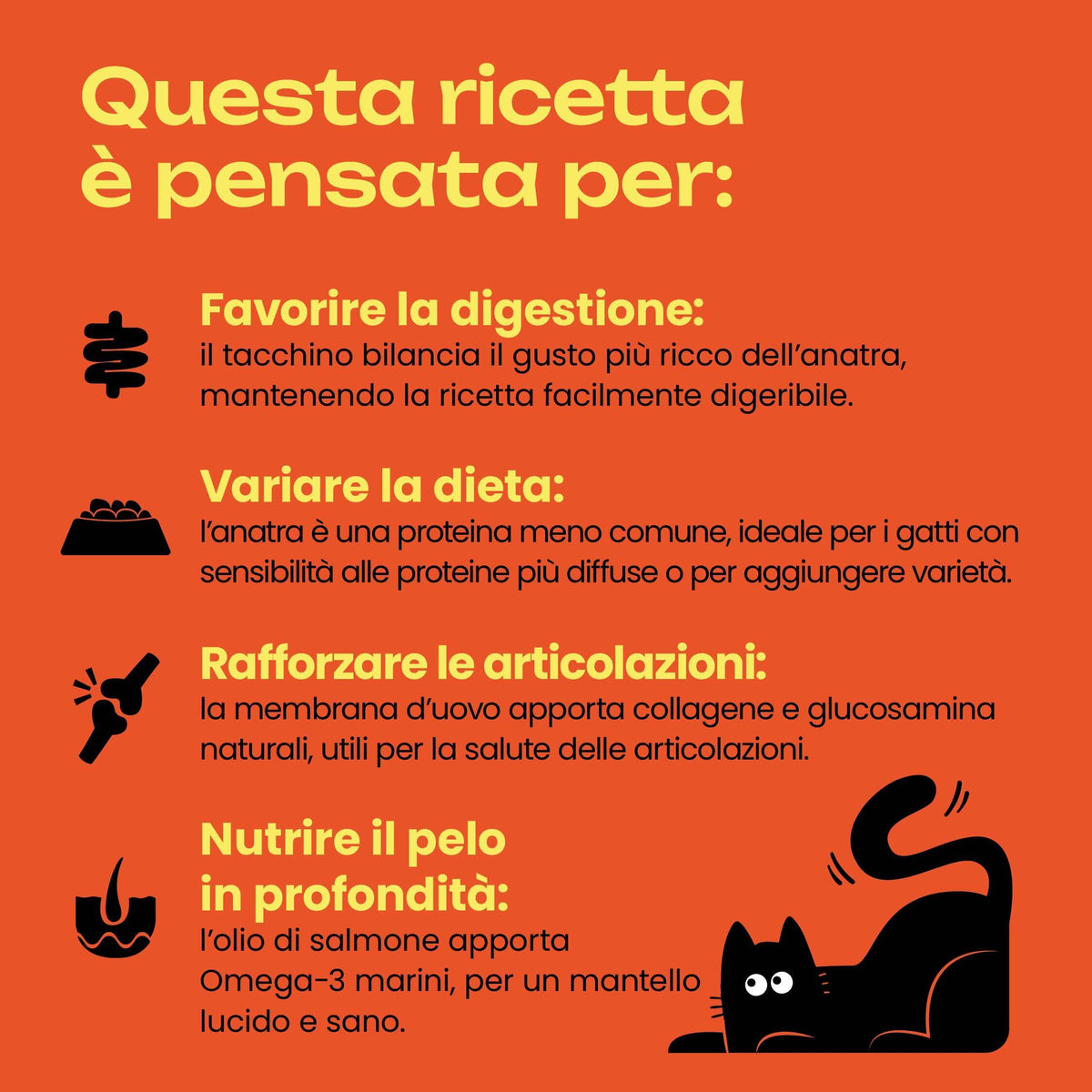 Cat Heroes | Anatra e Tacchino 95g