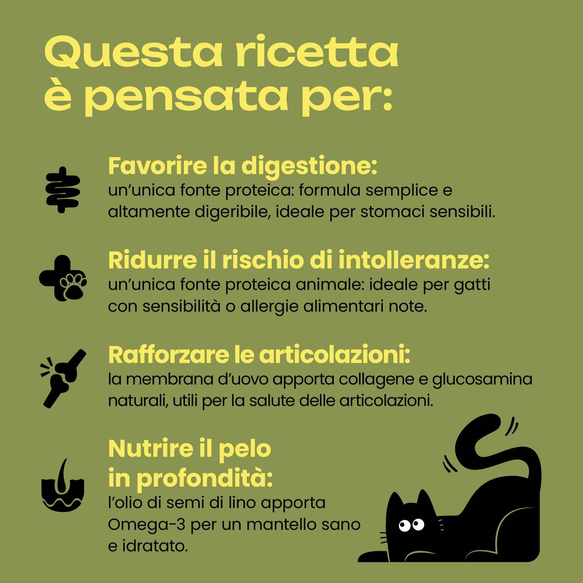 Cat Heroes | Maiale 95g