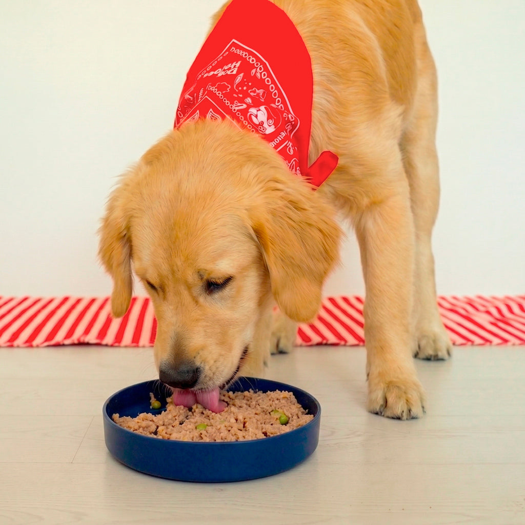 Lick Bowl | Ciotola alta con lick mat