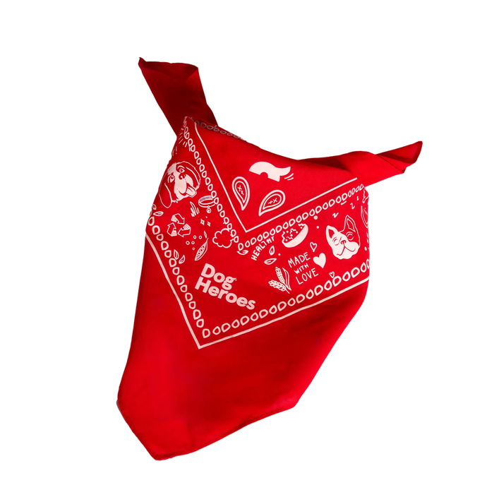 Benvenuto in famiglia. PER TE LA BANDANA DOG HEROES 