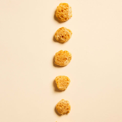 Crunchy Bites Vitality | mirtillo e semi di zucca