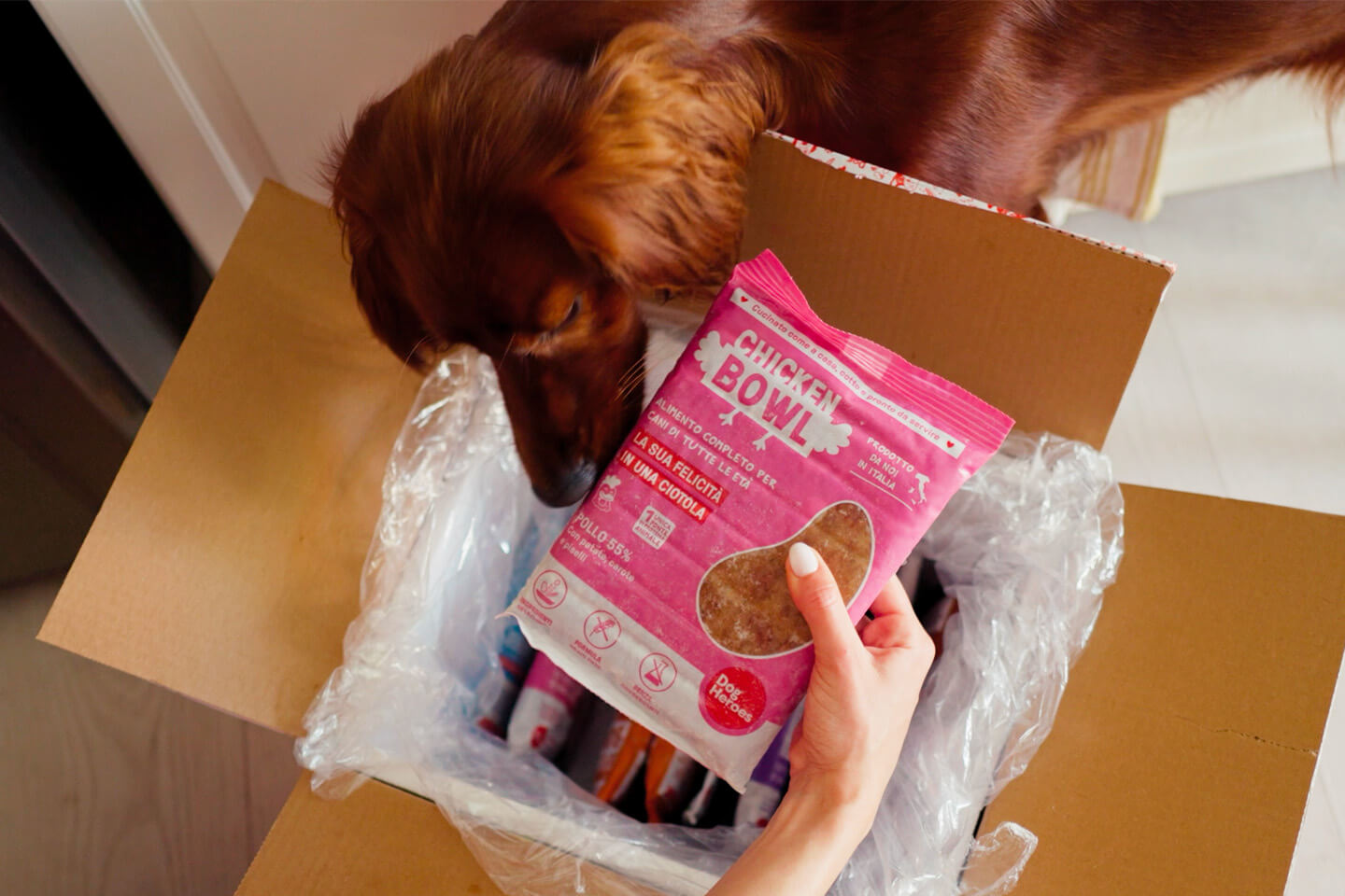 Box Dog Heroes di cibo surgelato, da riporre al freddo secondo etichetta