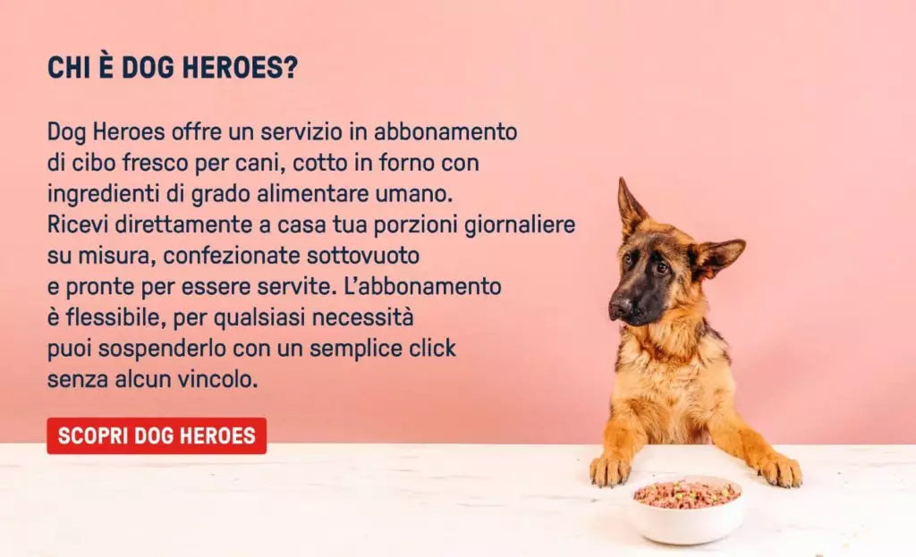 Scopri Dog Heroes, il servizio in abbonamento di cibo fresco per cani