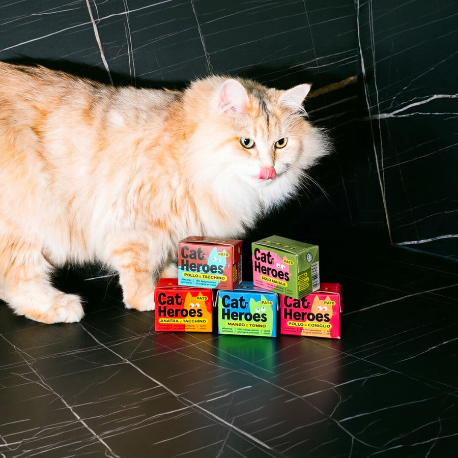 ACQUISTA PER IL TUO GATTO