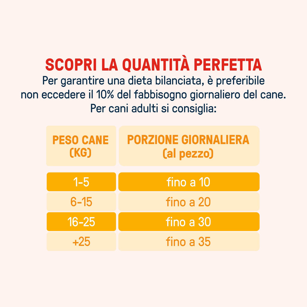 Crunchy Bites Vitality | mirtillo e semi di zucca