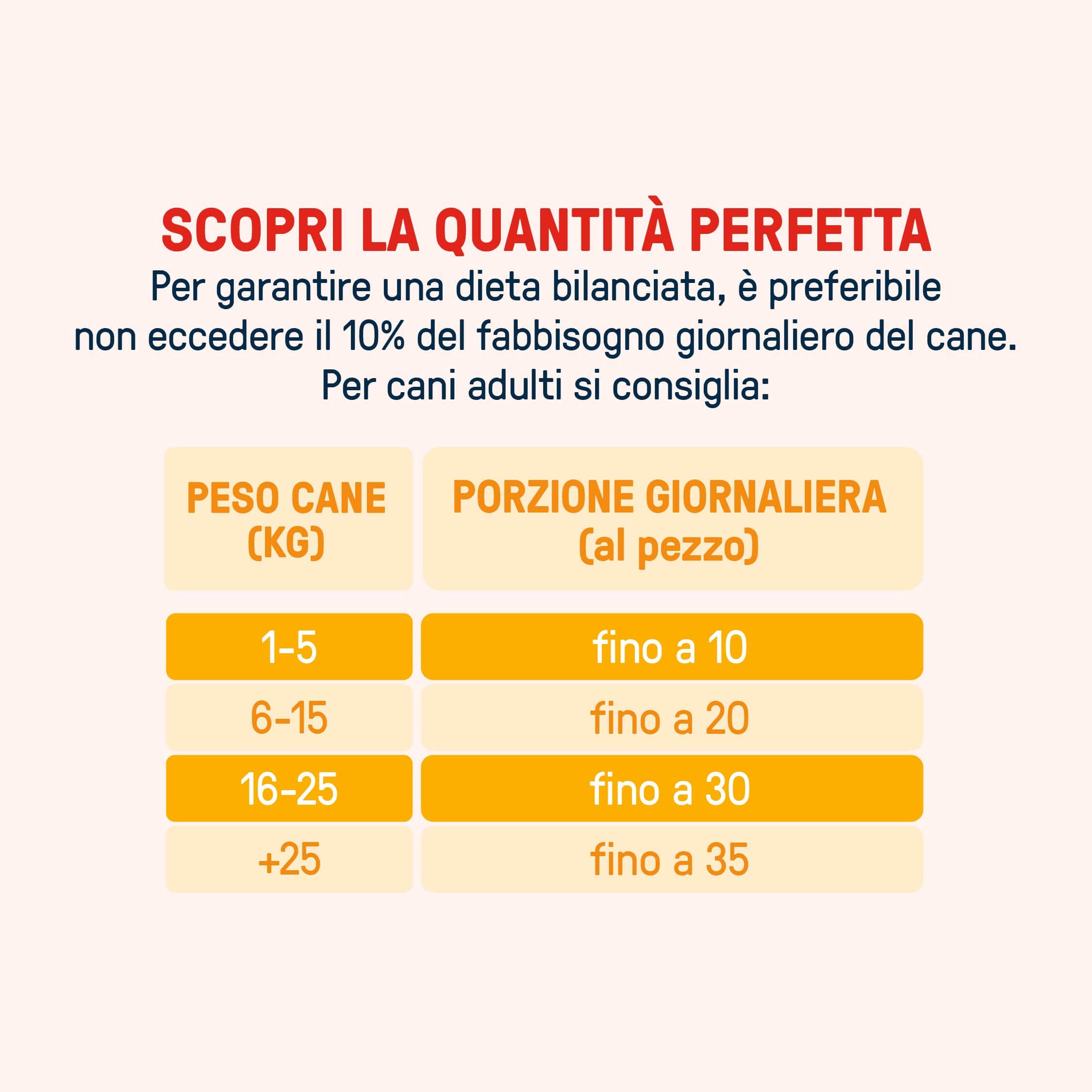 Crunchy Bites Vitality | mirtillo e semi di zucca