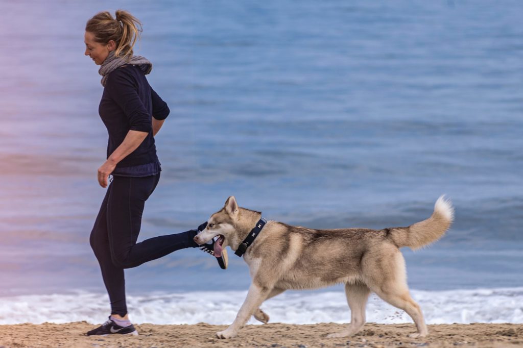 pet therapy con cani