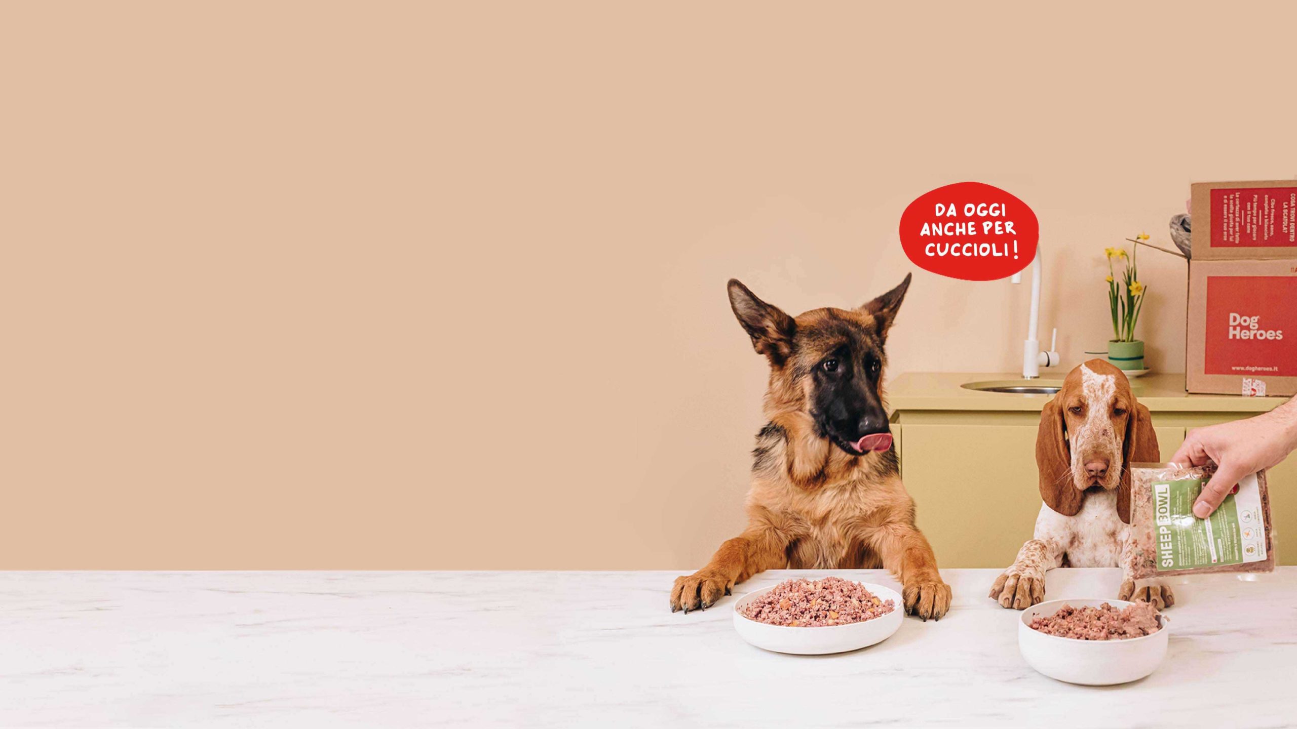 Homepage-cani-pappa-fresca
