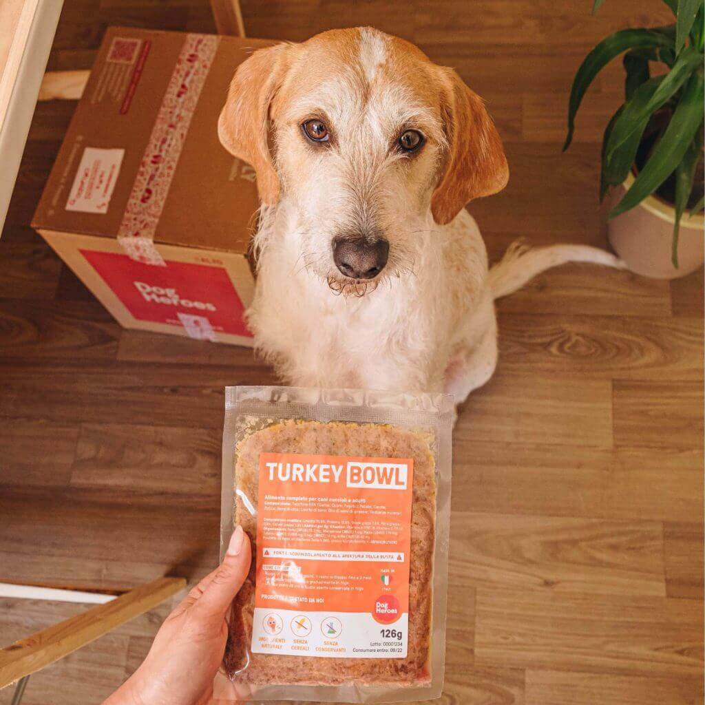 ricetta di tacchino per cane