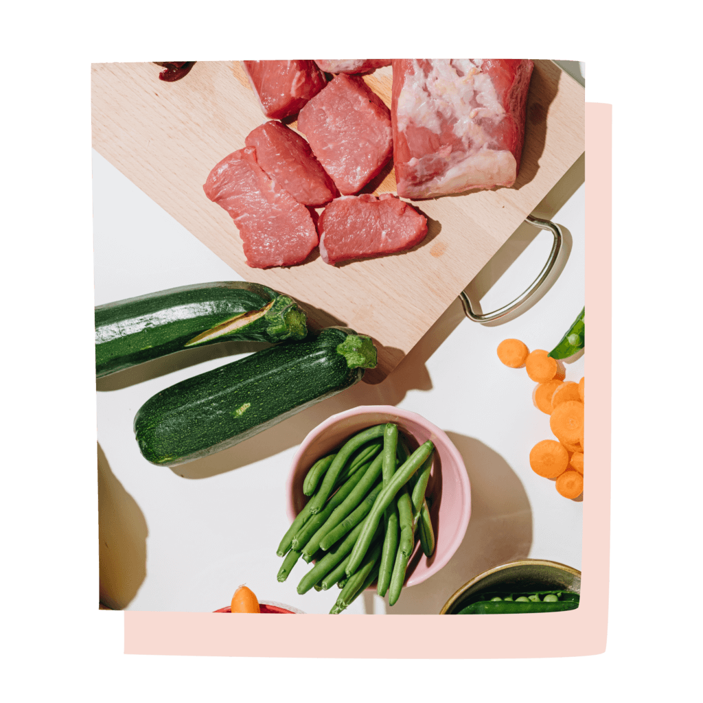 ingredienti freschi cibo cane