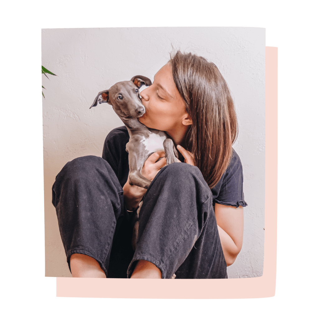 cibo casalingo per cane