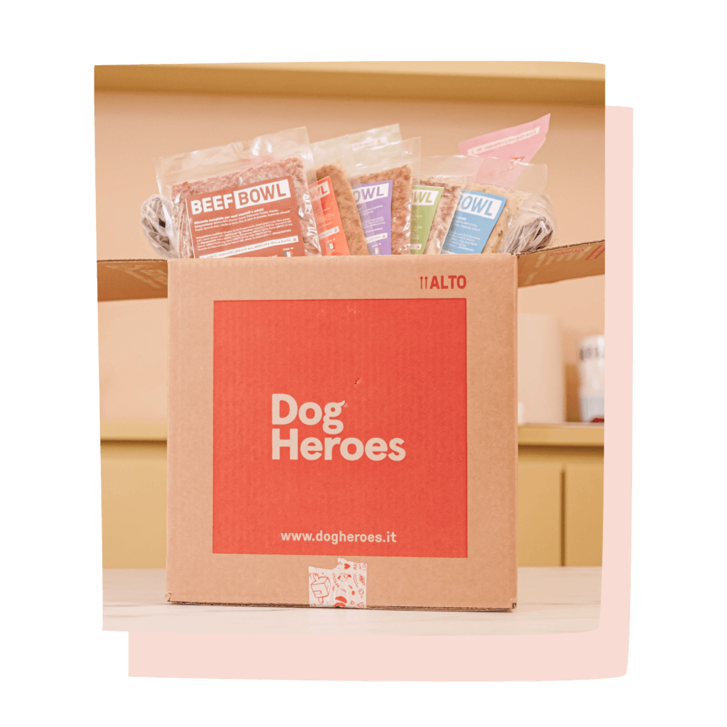 Dog Heroes box ricette