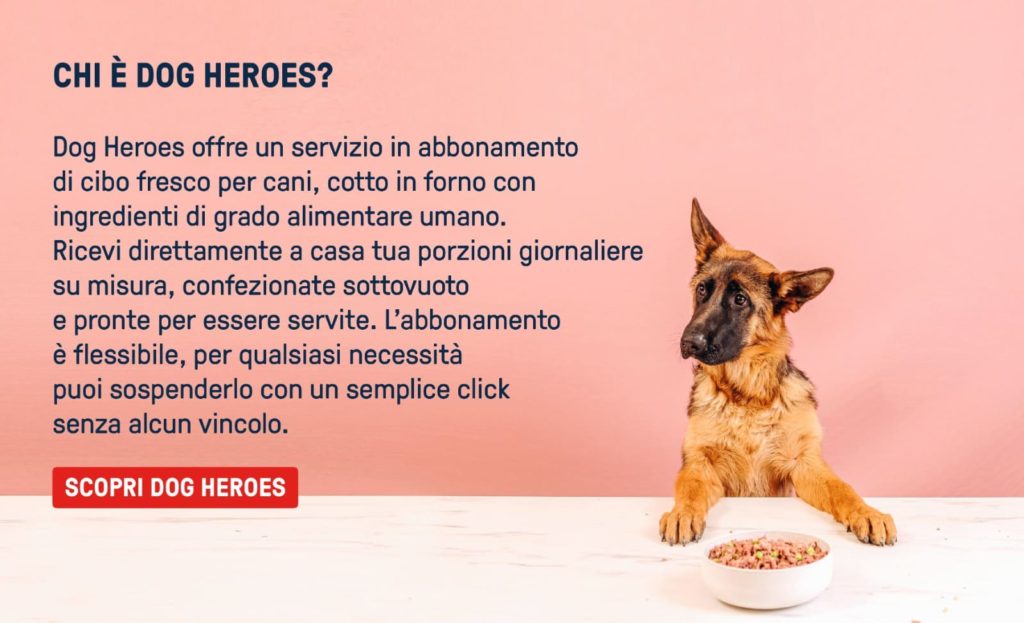 dog-heroes