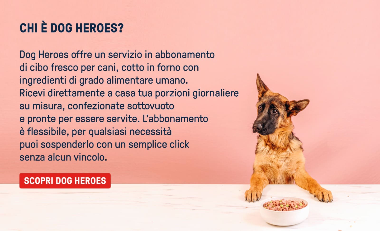 Dog heroes servizio di cibo fresco per cani cotto in forno con ingredienti di grado alimentare umano