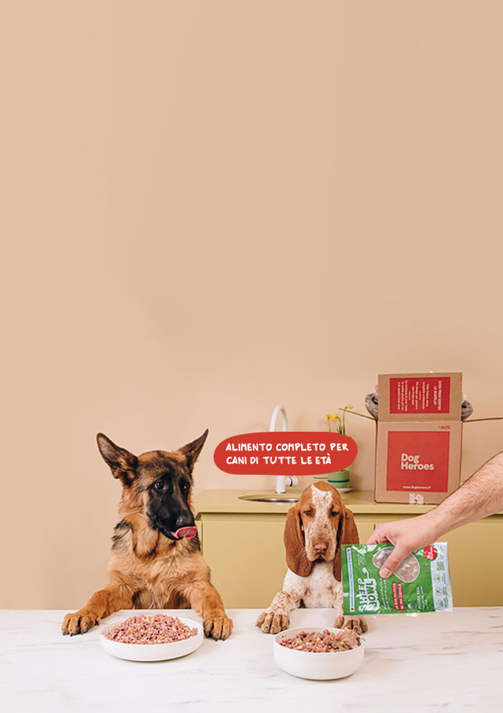 cibo fresco per cani