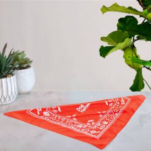 bandana rossa per cani