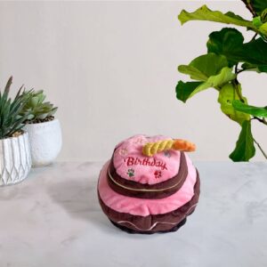 gioco torta per cani